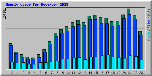 Hourly usage for November 2025