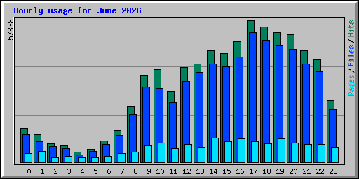 Hourly usage for June 2026